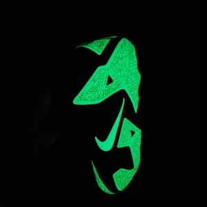 Nike LeBron 11 "Gator King" Kids 6.5y